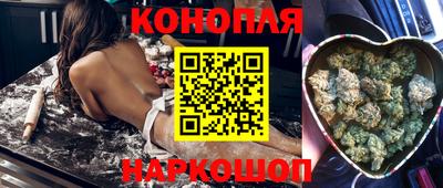 винт Тара