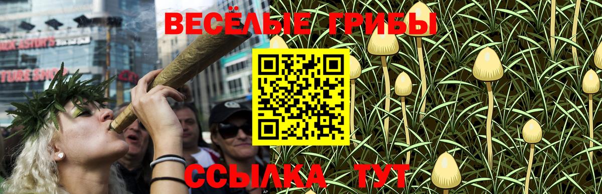 Галлюциногенные грибы Cubensis  Вход с VPN  Новоуральск 